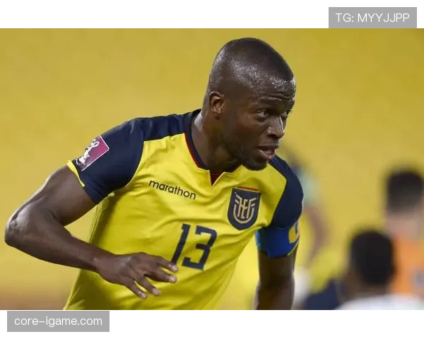 非洲国家杯今日赛况与最新动态